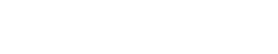 Qualex-Landmark™