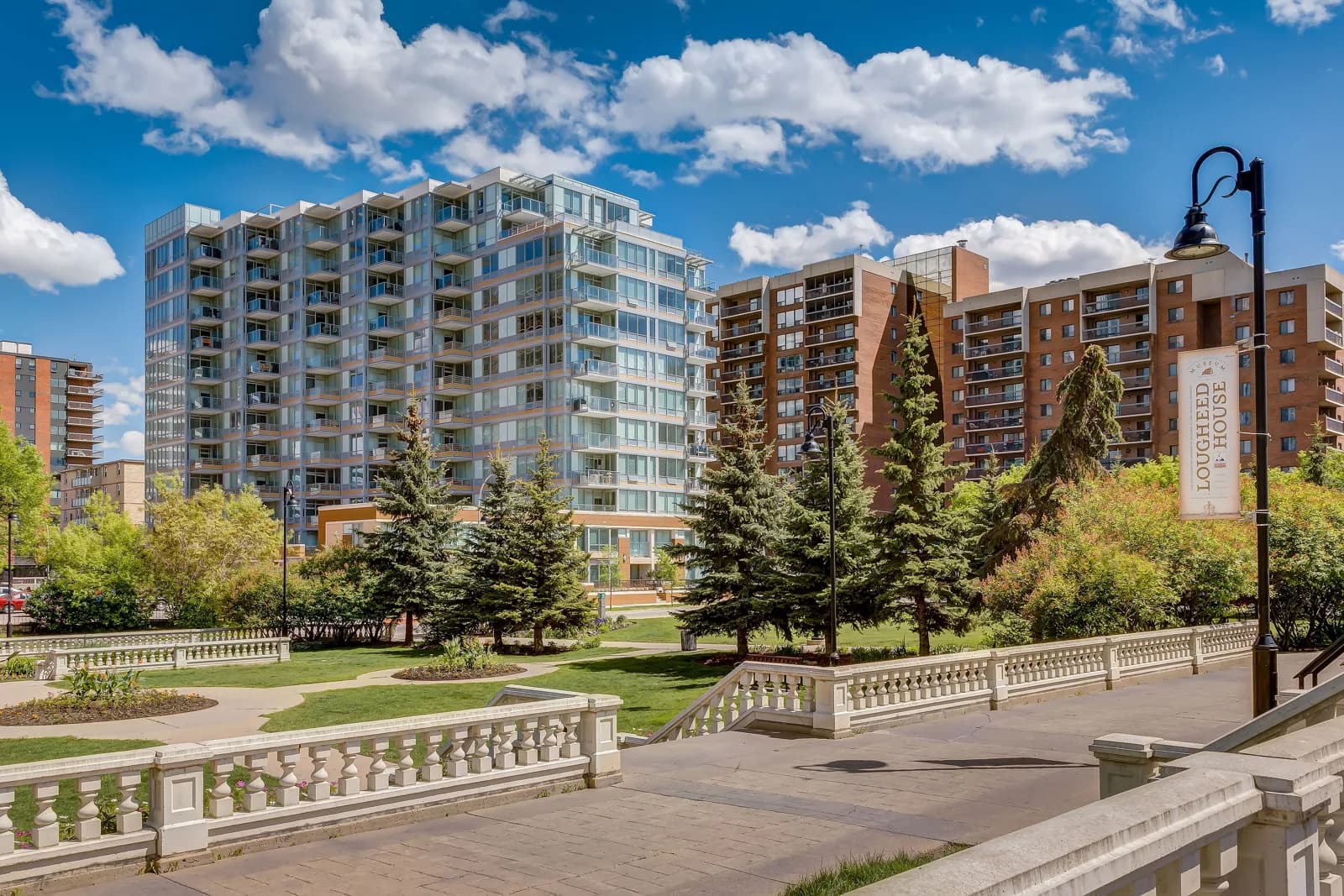 Calla in the Calgary Beltline